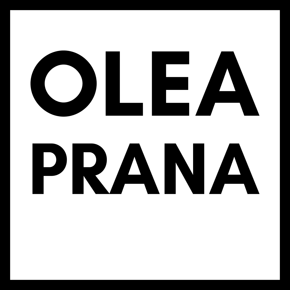 OLIVE OIL